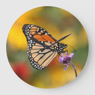 Monarchfalter auf der Suche nach Pollen Große Wanduhr