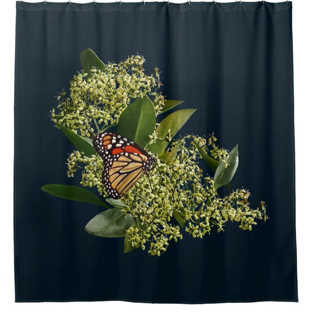 Monarchfalter auf Euonymus Duschvorhang (Vorderseite)