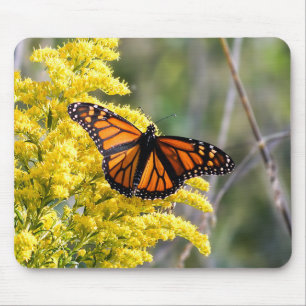 Monarchfalter auf GoldrutenMousepad Mousepad