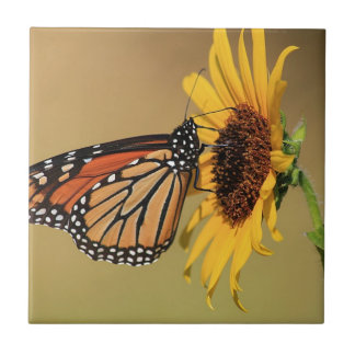 Monarchfalter auf Sonnenblume Fliese
