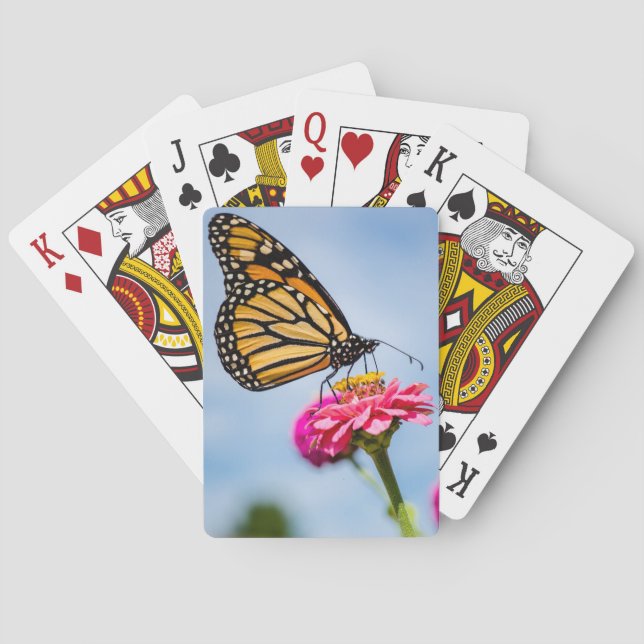 Monarchfalter auf Spielkarten (Rückseite)