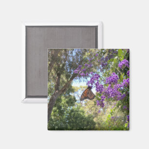 Monarchfalter auf violetten Blumen Magnet