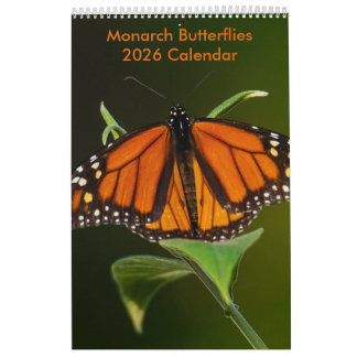 Monarchfalter Ein-Seiten-Kalender Kalender