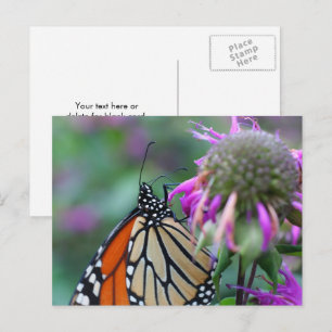 Monarchfalter-Flecken Naturfotografie Postkarte