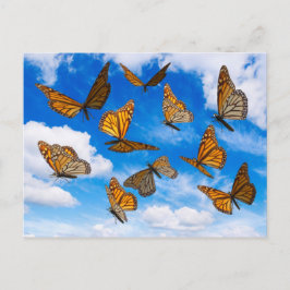 Monarchfalter im Himmel Postkarte