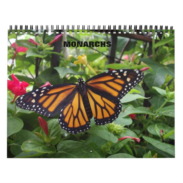 Monarchfalter-Kalender Kalender (Titelbild)