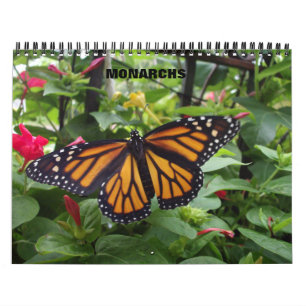 Monarchfalter-Kalender Kalender