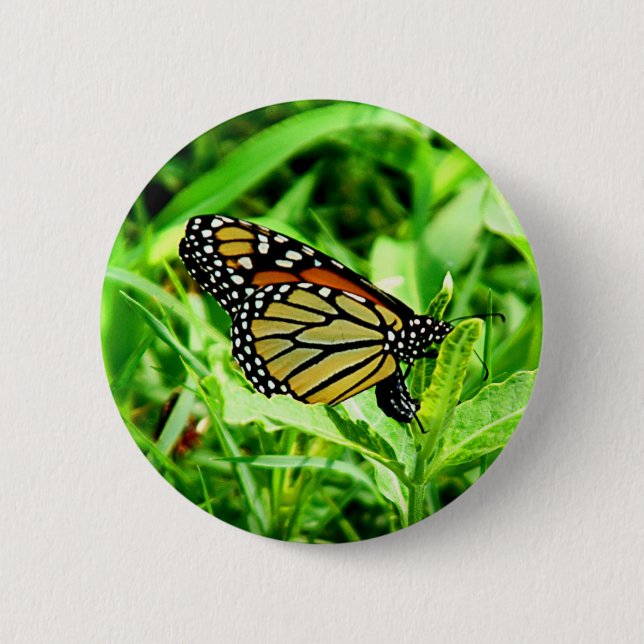 Monarchfalter-Knopf Button (Vorderseite)
