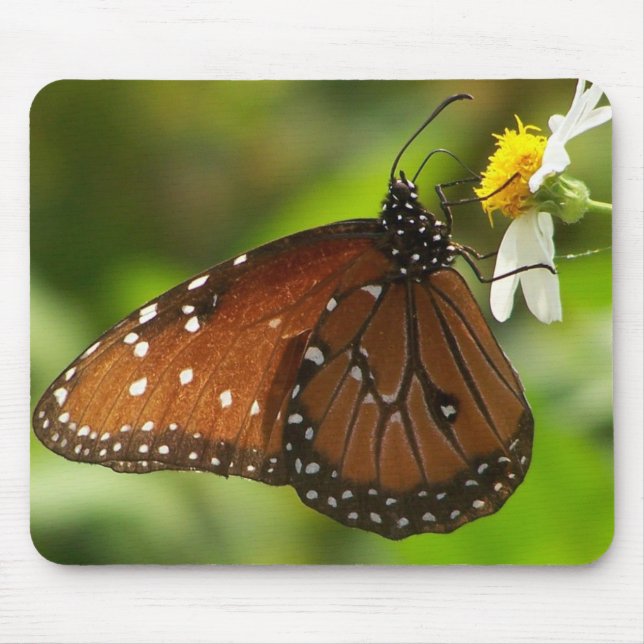 Monarchfalter Mousepad (Vorne)