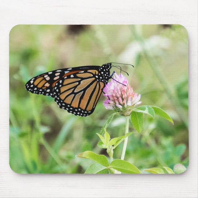 Monarchfalter Mousepad (Vorne)