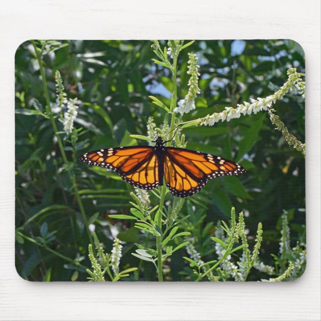 Monarchfalter natürliches Mousepad (Vorne)