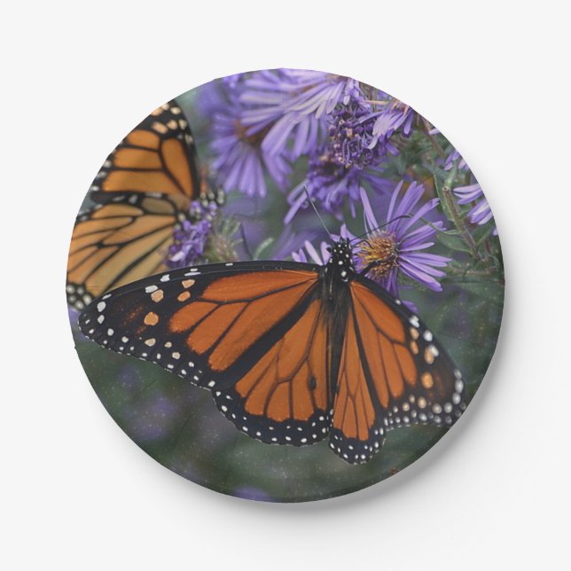 Monarchfalter Pappteller (Vorderseite)