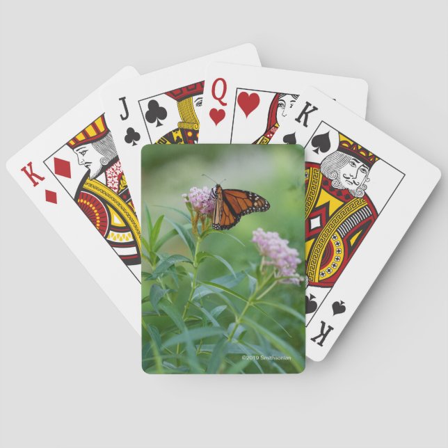 Monarchfalter Spielkarten (Rückseite)
