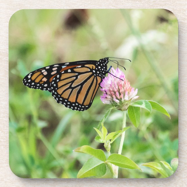 Monarchfalter Untersetzer (Vorderseite)