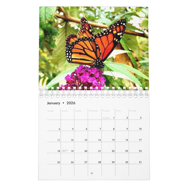 Monarchfalter-Wandkalender Kalender (Jan 2026)