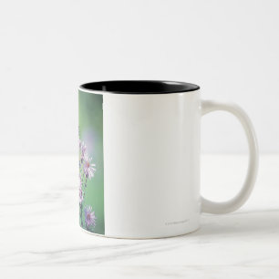 Monarchfalter Zweifarbige Tasse