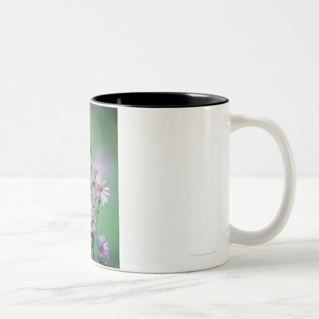 Monarchfalter Zweifarbige Tasse (Rechts)