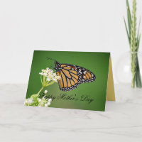 Monarchschmetterling am Muttertag auf Weißmehl