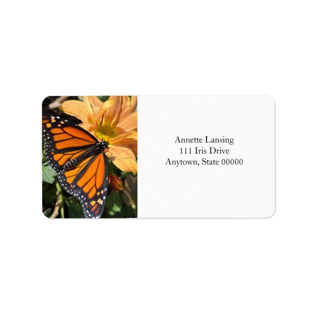 Monarchschmetterling auf Chrysanthemum-Blume Adressaufkleber (Vorne)