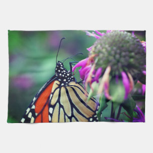 Monarchschmetterling auf der Blume Nah Geschirrtuch