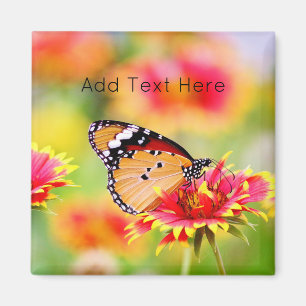 Monarchschmetterling auf der Blume Rot und Gelb Magnet