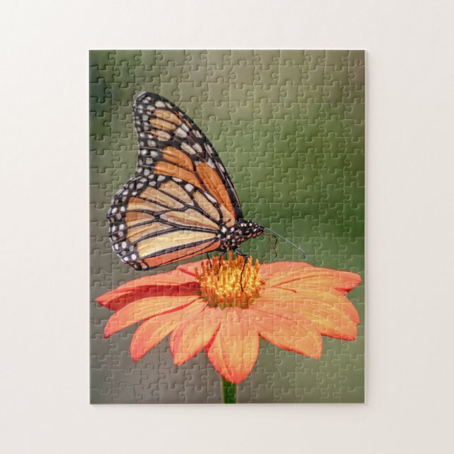 Monarchschmetterling auf einer orangen Blume (Vertikal)