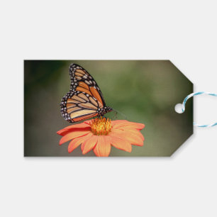 Monarchschmetterling auf einer orangen Blume Geschenkanhänger