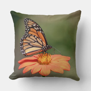Monarchschmetterling auf einer orangen Blume Kissen