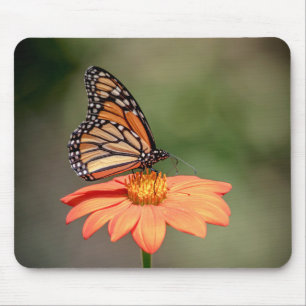 Monarchschmetterling auf einer orangen Blume Mousepad