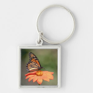 Monarchschmetterling auf einer orangen Blume Schlüsselanhänger