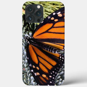 Monarchschmetterling auf Evergres Case-Mate iPhone Hülle