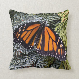 Monarchschmetterling auf Evergres Kissen