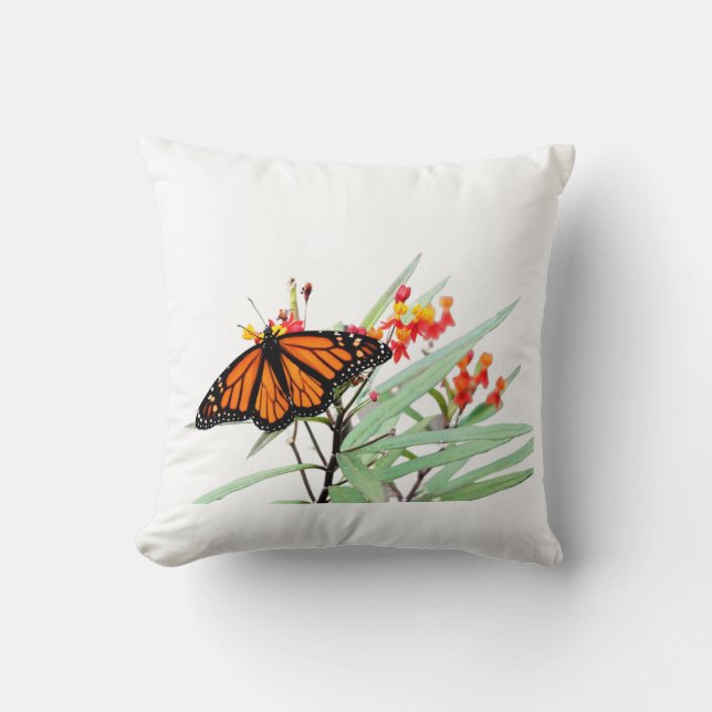 Monarchschmetterling auf Milchkrautblüten, weiß Kissen (Vorderseite)