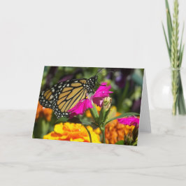 Monarchschmetterling auf rosa Grußkarten Karte