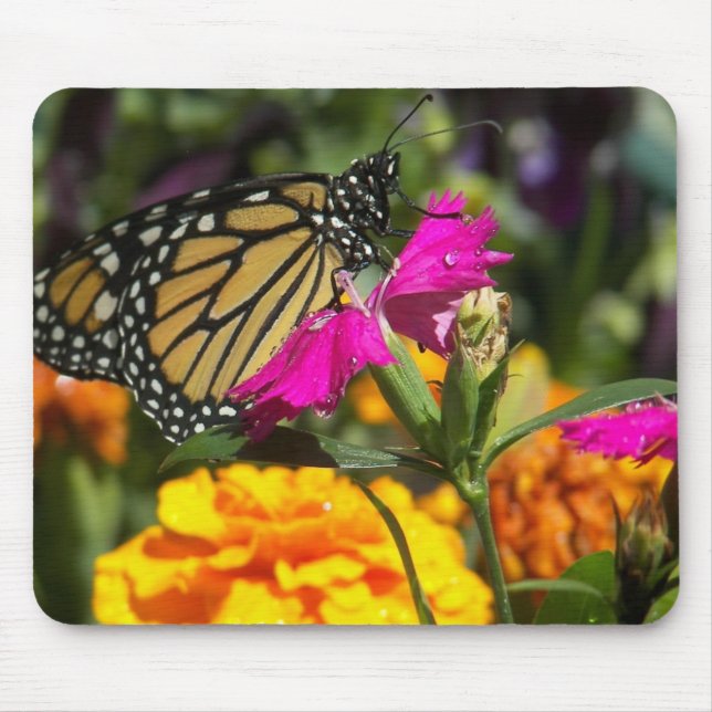 Monarchschmetterling auf rosa Marigold-Mousepad Mousepad (Vorne)