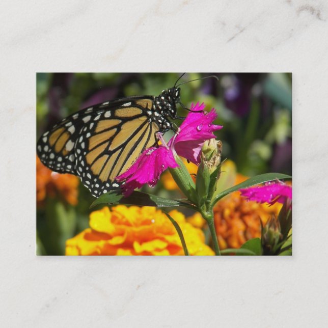 Monarchschmetterling auf rosa Marigold-Visitenkart Visitenkarte (Vorderseite)