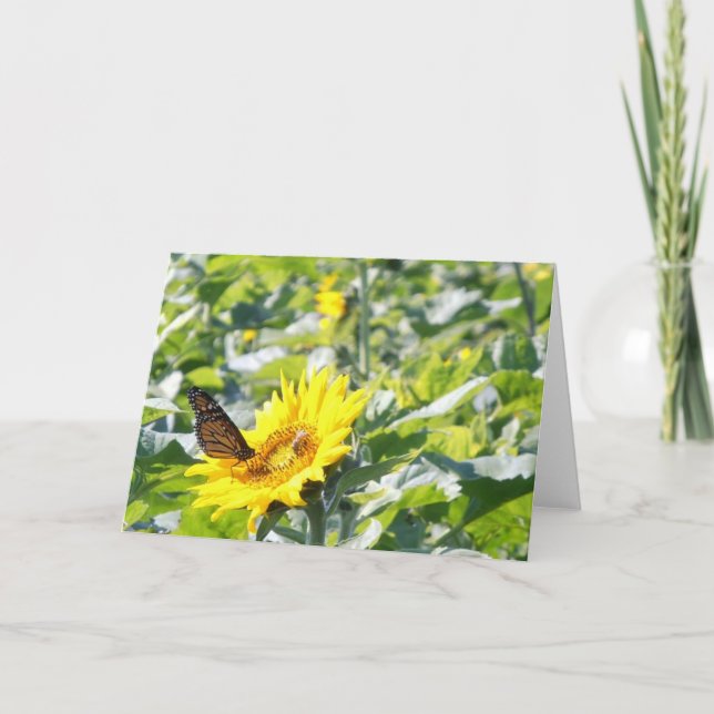 Monarchschmetterling auf Sonnenblumenkarte Karte (Vorderseite)
