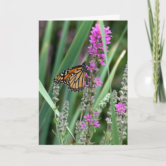 Monarchschmetterling auf Wildblume Karte (Vorderseite)