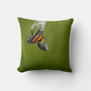 Monarchschmetterling aus Kokon-Kissen Kissen