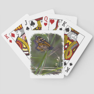 Monarchschmetterling im Grasweißen Rand Spielkarten