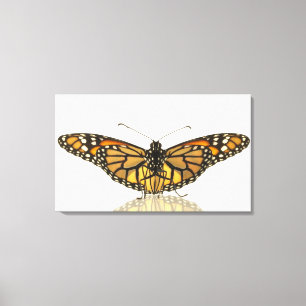 Monarchschmetterling mit ausgebreiteten Flügeln Leinwanddruck
