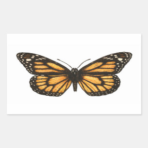 Monarchschmetterling Rechteckiger Aufkleber