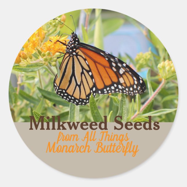 Monarchschmetterling Runder Aufkleber (Vorderseite)