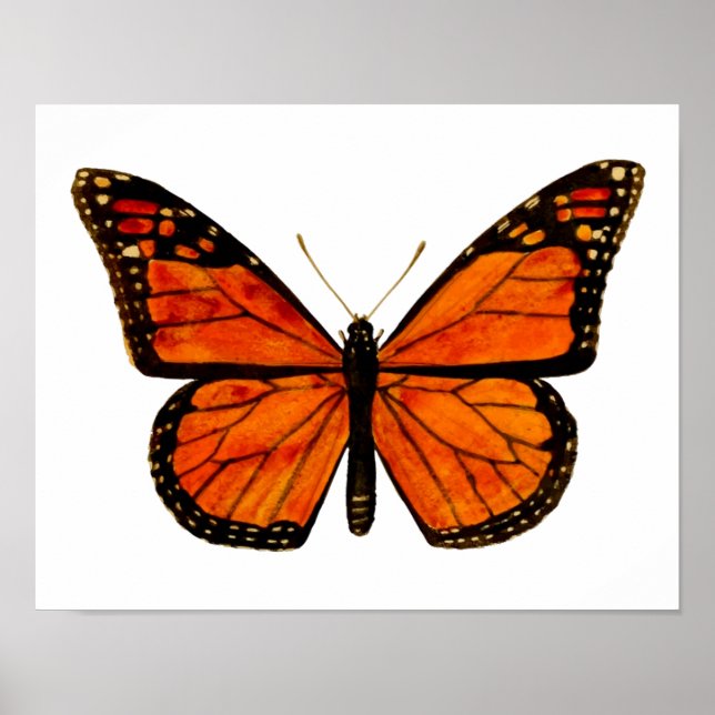 Monarchschmetterling Small Poster (Vorne)