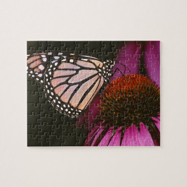 Monarchschmetterling und Lila Blume (Horizontal)