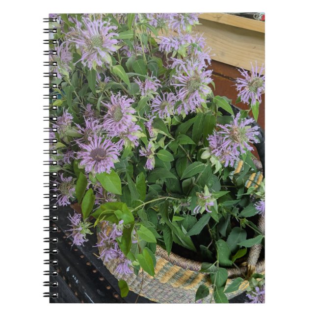 Monarda Notizblock (Vorderseite)