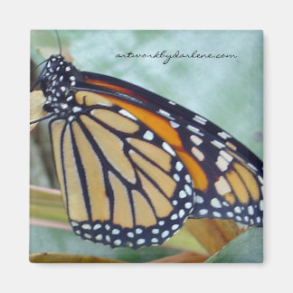 Monarkschmetterling Magnet