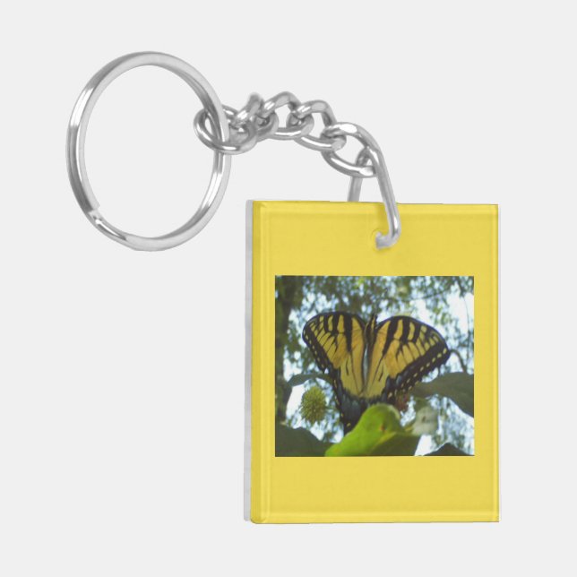 Monarque jaune soleil (Devant gauche)
