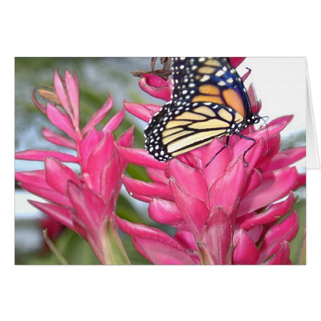 Monarque magique (Devant horizontal)