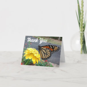 Monarque Sipping Yellow Zinnia Carte de remercieme